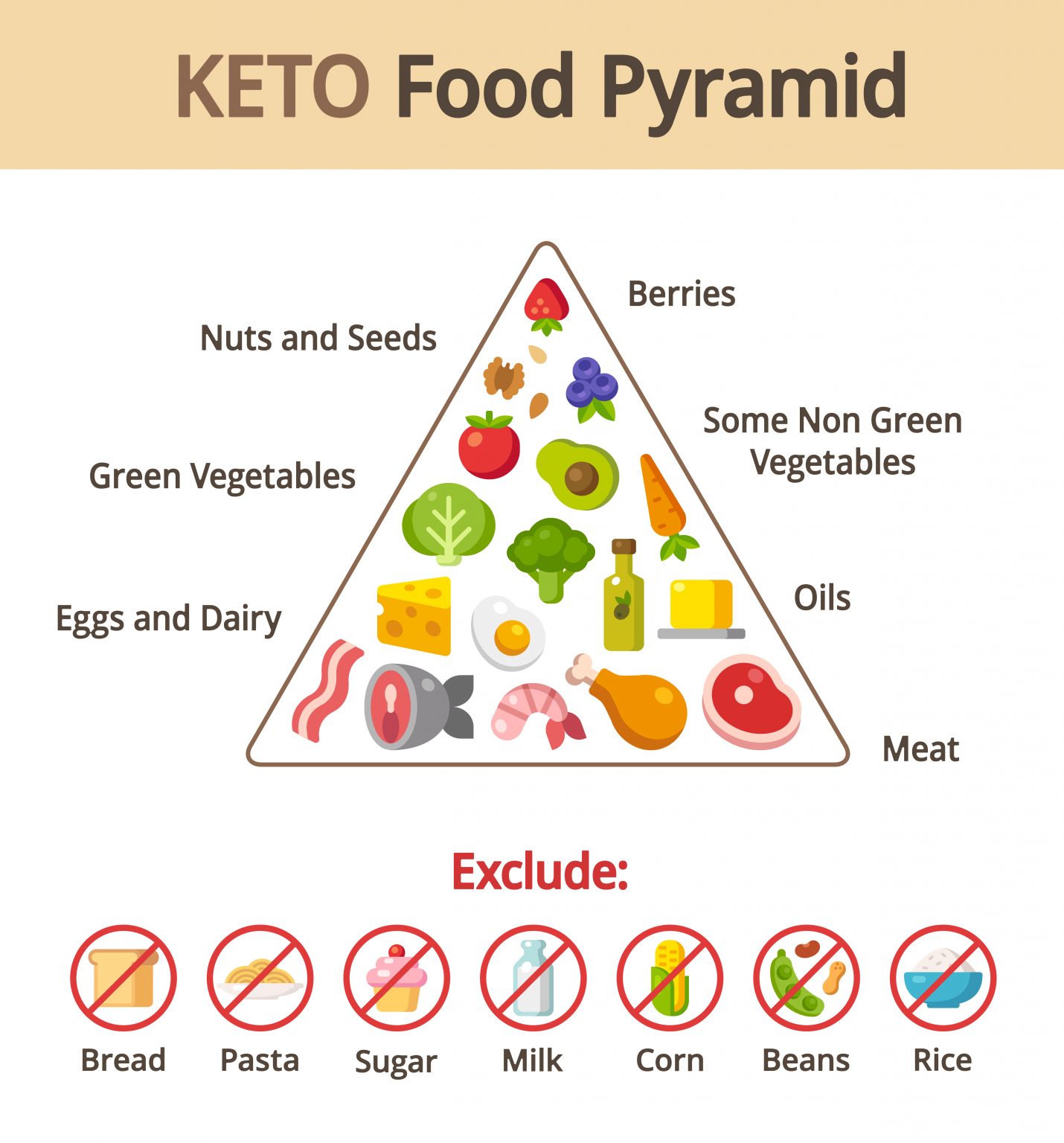 What Is the Keto Diet and How Does It Work Ketomei